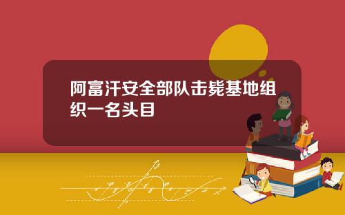 阿富汗安全部队击毙基地组织一名头目
