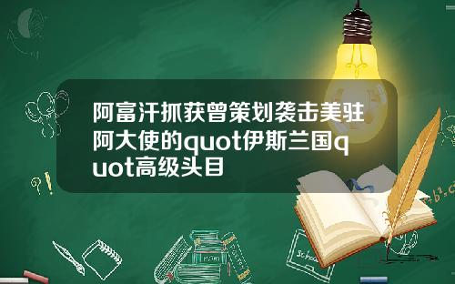 阿富汗抓获曾策划袭击美驻阿大使的quot伊斯兰国quot高级头目