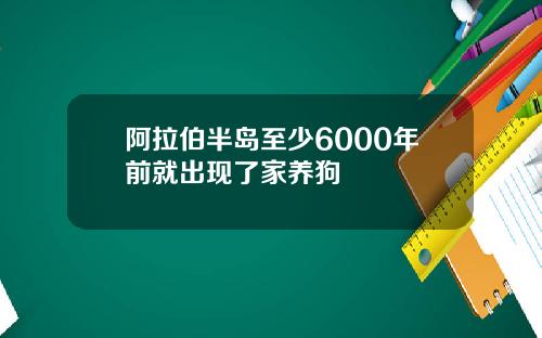 阿拉伯半岛至少6000年前就出现了家养狗