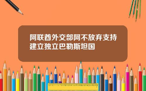 阿联酋外交部阿不放弃支持建立独立巴勒斯坦国