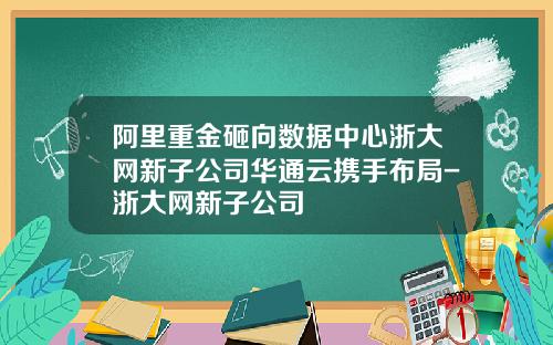 阿里重金砸向数据中心浙大网新子公司华通云携手布局-浙大网新子公司