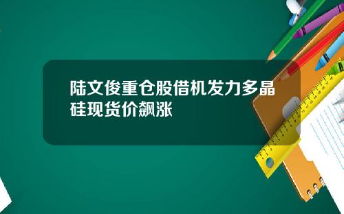 陆文俊重仓股借机发力多晶硅现货价飙涨