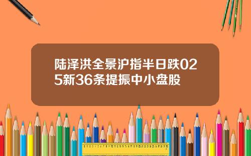 陆泽洪全景沪指半日跌025新36条提振中小盘股