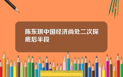 陈东琪中国经济尚处二次探底后半段