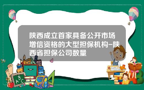 陕西成立首家具备公开市场增信资格的大型担保机构-陕西省担保公司数量
