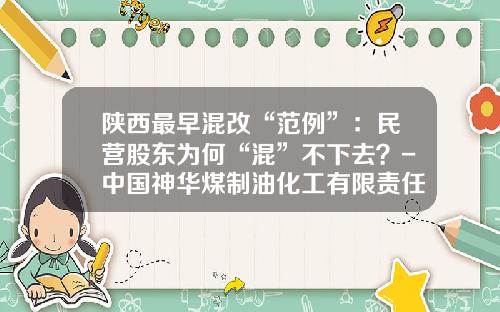 陕西最早混改“范例”：民营股东为何“混”不下去？-中国神华煤制油化工有限责任公司