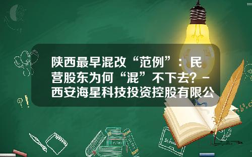 陕西最早混改“范例”：民营股东为何“混”不下去？-西安海星科技投资控股有限公司