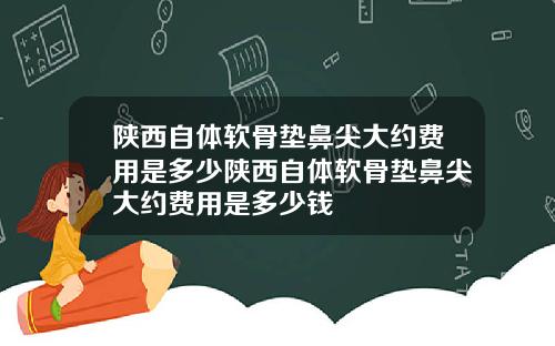 陕西自体软骨垫鼻尖大约费用是多少陕西自体软骨垫鼻尖大约费用是多少钱