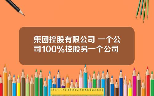 集团控股有限公司 一个公司100%控股另一个公司