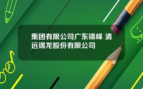集团有限公司广东锦峰 清远锦龙股份有限公司