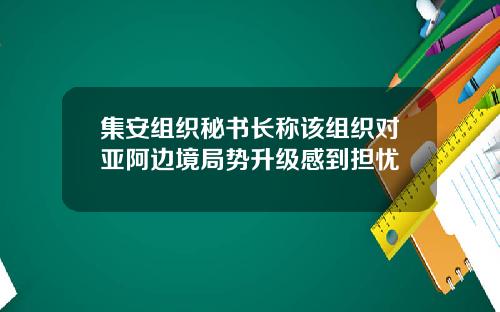 集安组织秘书长称该组织对亚阿边境局势升级感到担忧