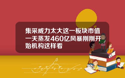 集采威力太大这一板块市值一天蒸发460亿风暴刚刚开始机构这样看