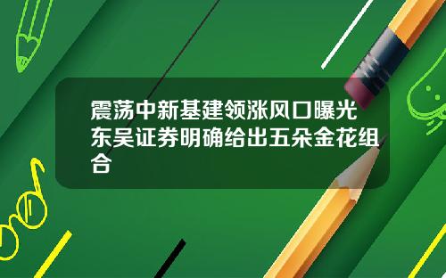 震荡中新基建领涨风口曝光东吴证券明确给出五朵金花组合
