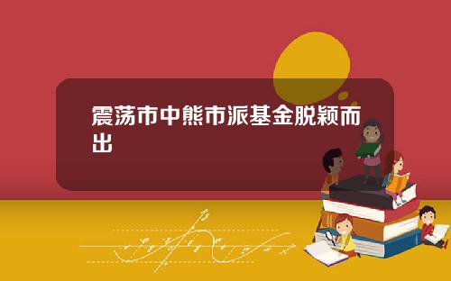 震荡市中熊市派基金脱颖而出