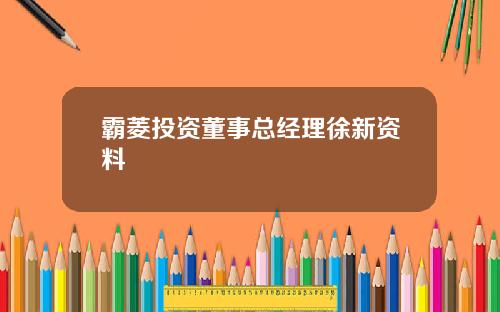 霸菱投资董事总经理徐新资料