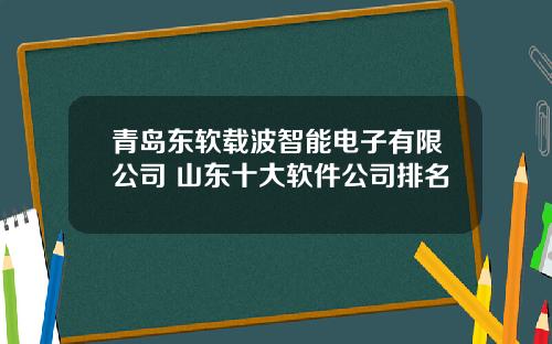 青岛东软载波智能电子有限公司 山东十大软件公司排名