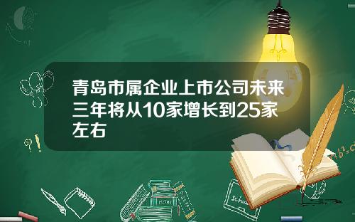 青岛市属企业上市公司未来三年将从10家增长到25家左右