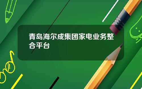 青岛海尔成集团家电业务整合平台