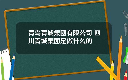 青岛青城集团有限公司 四川青城集团是做什么的