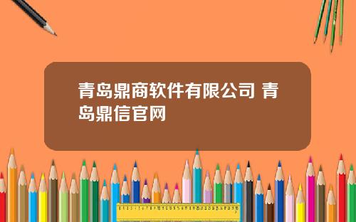 青岛鼎商软件有限公司 青岛鼎信官网