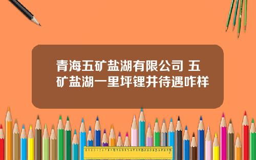 青海五矿盐湖有限公司 五矿盐湖一里坪锂井待遇咋样