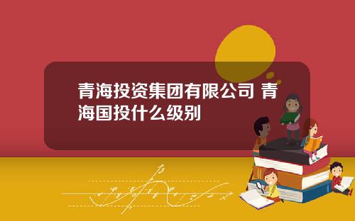 青海投资集团有限公司 青海国投什么级别