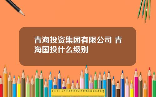 青海投资集团有限公司 青海国投什么级别