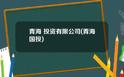 青海 投资有限公司(青海国投)