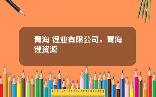 青海 锂业有限公司，青海锂资源