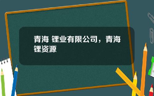 青海 锂业有限公司，青海锂资源