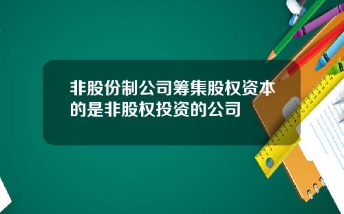 非股份制公司筹集股权资本的是非股权投资的公司
