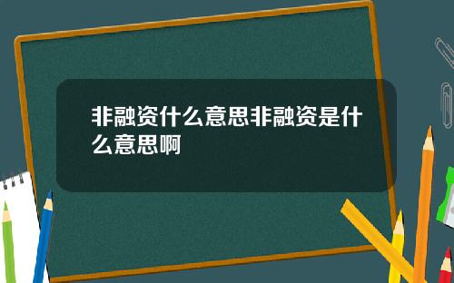 非融资什么意思非融资是什么意思啊