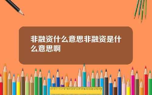 非融资什么意思非融资是什么意思啊