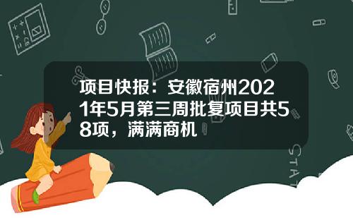 项目快报：安徽宿州2021年5月第三周批复项目共58项，满满商机