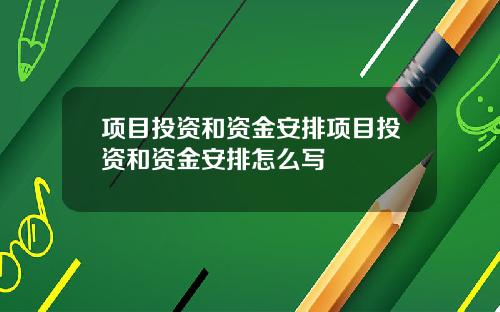 项目投资和资金安排项目投资和资金安排怎么写