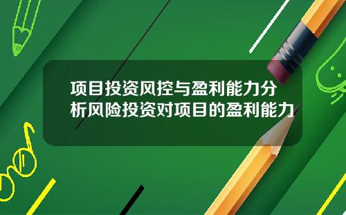 项目投资风控与盈利能力分析风险投资对项目的盈利能力