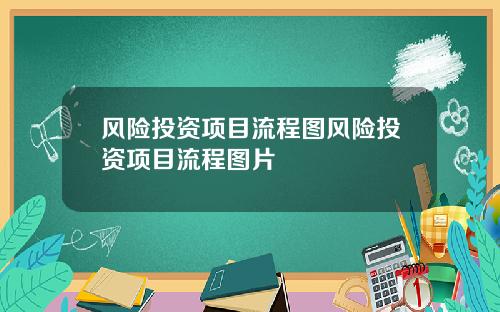 风险投资项目流程图风险投资项目流程图片
