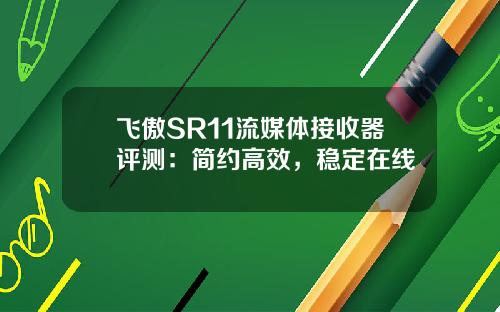 飞傲SR11流媒体接收器评测：简约高效，稳定在线