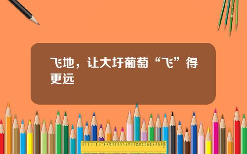 飞地，让大圩葡萄“飞”得更远