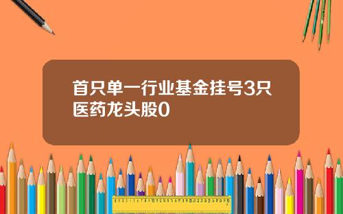 首只单一行业基金挂号3只医药龙头股0