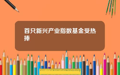 首只新兴产业指数基金受热捧