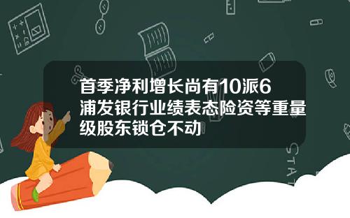 首季净利增长尚有10派6浦发银行业绩表态险资等重量级股东锁仓不动