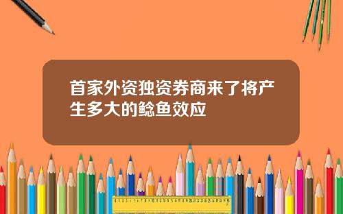 首家外资独资券商来了将产生多大的鲶鱼效应