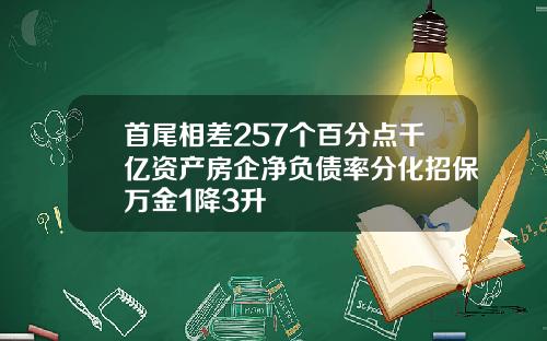 首尾相差257个百分点千亿资产房企净负债率分化招保万金1降3升