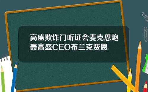 高盛欺诈门听证会麦克恩炮轰高盛CEO布兰克费恩