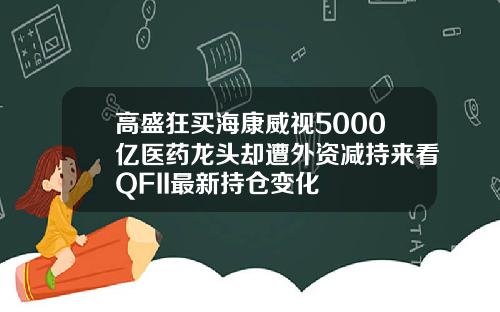高盛狂买海康威视5000亿医药龙头却遭外资减持来看QFII最新持仓变化