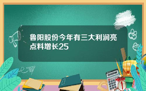 鲁阳股份今年有三大利润亮点料增长25