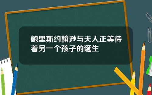 鲍里斯约翰逊与夫人正等待着另一个孩子的诞生