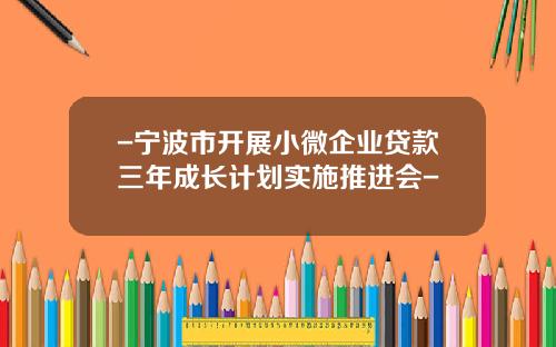 -宁波市开展小微企业贷款三年成长计划实施推进会-