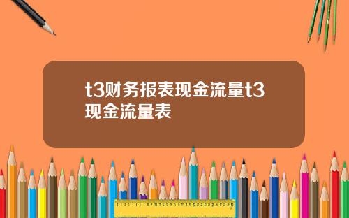 t3财务报表现金流量t3现金流量表